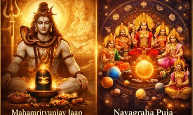 Health & Protection Puja Services